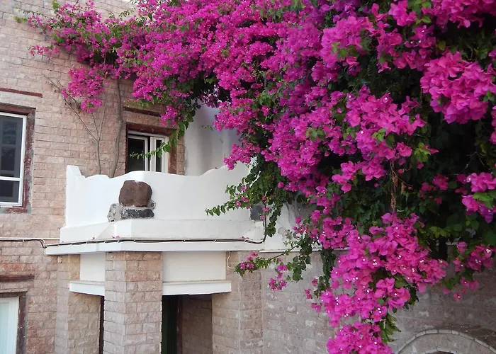 لو بيتي غريك