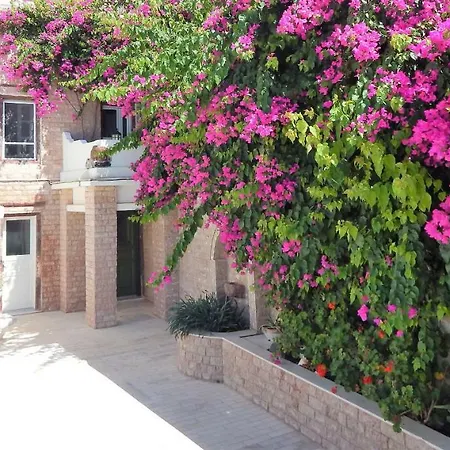 Hotel Le Petit Greek 2*